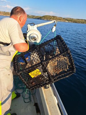 20250720_203458.jpg 20250720_203458.jpg