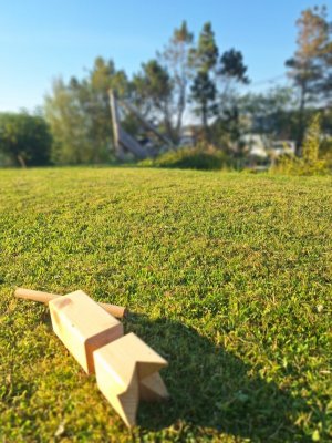 20250716_195419.jpg 20250716_195419.jpg