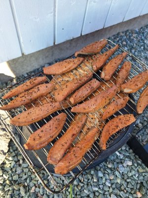 20250721_201223.jpg 20250721_201223.jpg