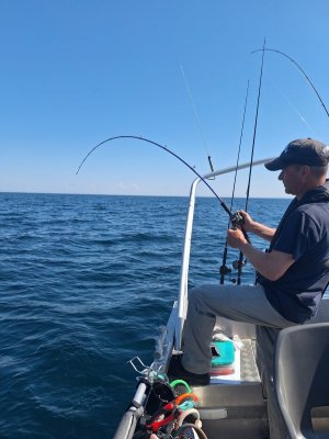 20250723_134246.jpg 20250723_134246.jpg