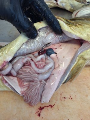 1000110511.jpg 1000110511.jpg