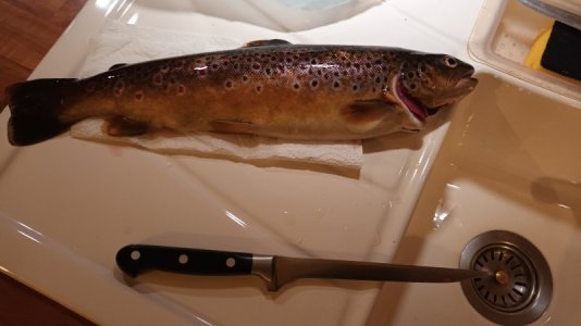 20250806_230525.jpg 20250806_230525.jpg