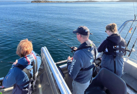 1754560237420.png 1754560237420.png