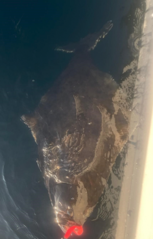 1754560315696.png 1754560315696.png