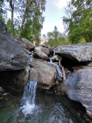 IMG-20250808-WA0024.jpg IMG-20250808-WA0024.jpg