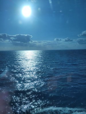 20250810_180933.jpg 20250810_180933.jpg