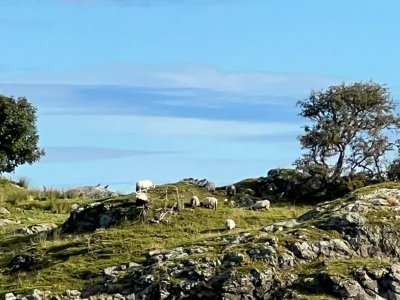 IMG-20241002-WA0010.jpg IMG-20241002-WA0010.jpg