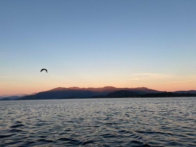 IMG-20241002-WA0069.jpg IMG-20241002-WA0069.jpg