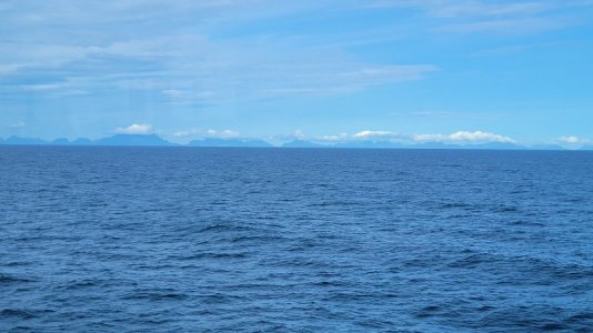 20250813_124833.jpg 20250813_124833.jpg