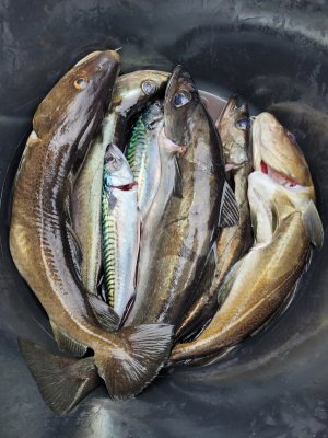 20250814_180210.jpg 20250814_180210.jpg