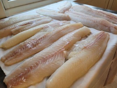 20250814_194455.jpg 20250814_194455.jpg