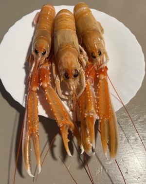 IMG_6056.jpeg