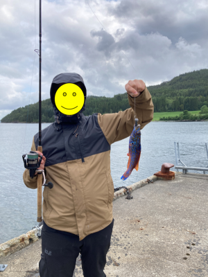 Bild1.png