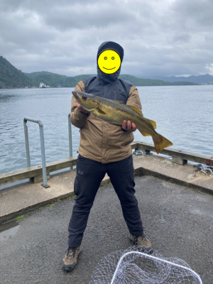 Bild2.png