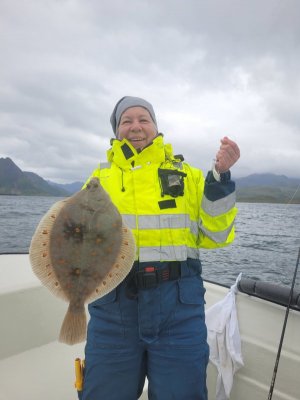 20250817_135400.jpg 20250817_135400.jpg