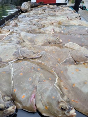 20250817_184812.jpg 20250817_184812.jpg