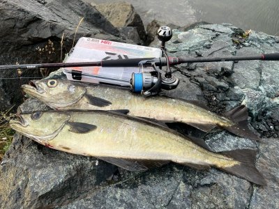 IMG_1883.jpg IMG_1883.jpg