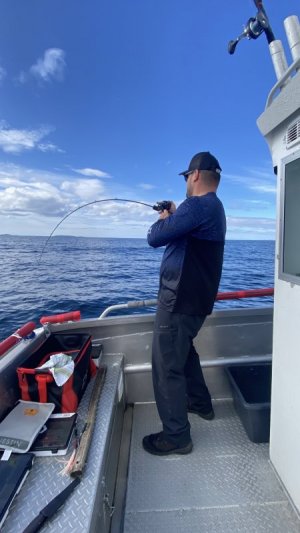 IMG_2804.JPG IMG_2804.JPG