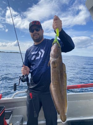 IMG_2814.jpg IMG_2814.jpg