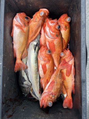 IMG_1912.jpg