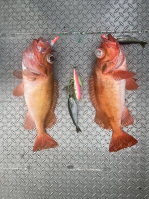 IMG_2048.jpg IMG_2048.jpg