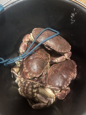 IMG_2088.jpg IMG_2088.jpg