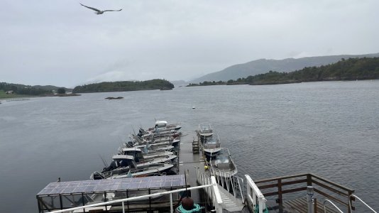 A0580B8D-F715-49D2-9670-E5A1BFDC5D96.JPG A0580B8D-F715-49D2-9670-E5A1BFDC5D96.JPG