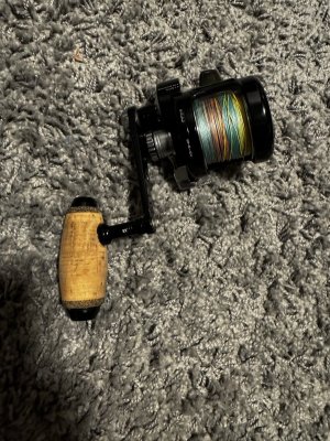 IMG_3819.jpeg
