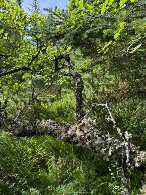 IMG-20250819-WA0048.jpg IMG-20250819-WA0048.jpg