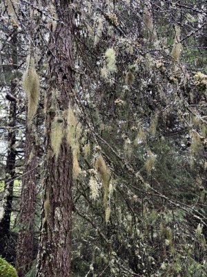 IMG-20250819-WA0052.jpg IMG-20250819-WA0052.jpg