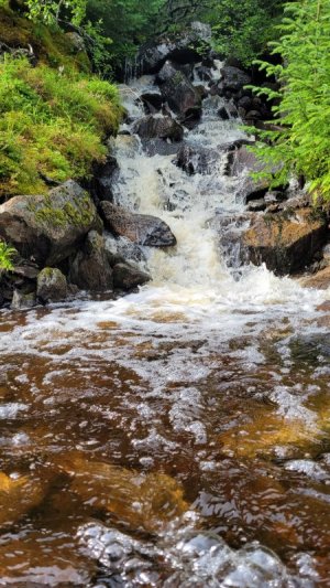 20250819_154951.jpg 20250819_154951.jpg