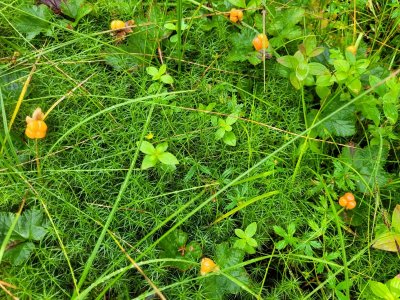 20250819_151031.jpg 20250819_151031.jpg