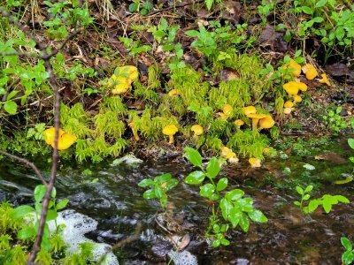 20250819_150242.jpg 20250819_150242.jpg