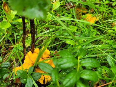 20250819_152040.jpg 20250819_152040.jpg