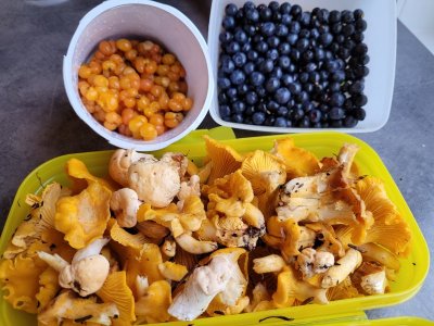 20250819_185815.jpg 20250819_185815.jpg