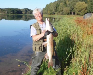 DSCI3722.JPG DSCI3722.JPG