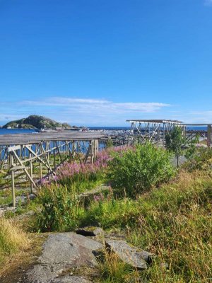 Bild 4 Lofoten 2025.jpg