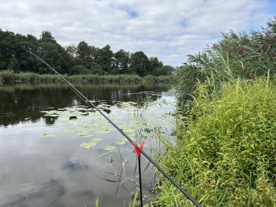 IMG_1426.jpeg