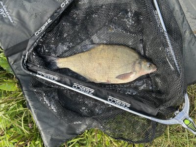 IMG_1434.jpeg IMG_1434.jpeg