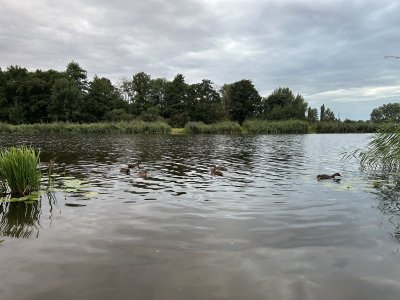 IMG_1452.jpeg