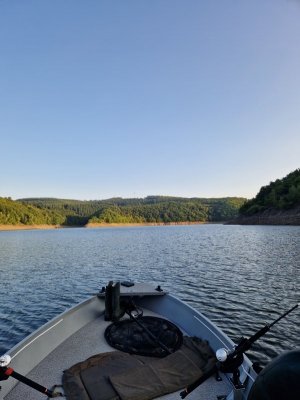 20250810_072537.jpg