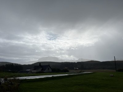 IMG_6185.jpeg IMG_6185.jpeg