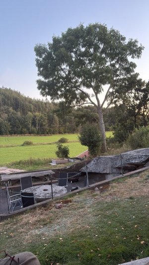 4a1c5adb-494f-44da-91bc-6e38a800d6a2.jpeg 4a1c5adb-494f-44da-91bc-6e38a800d6a2.jpeg