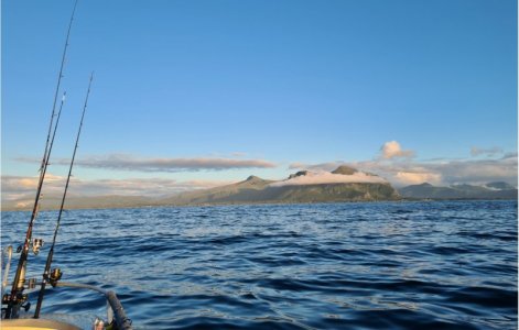 vevang.jpg vevang.jpg