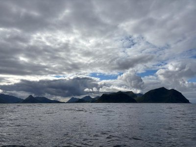 IMG-20250825-WA0001.jpg IMG-20250825-WA0001.jpg