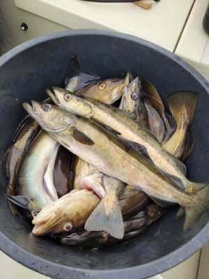 20250825_184322.jpg 20250825_184322.jpg