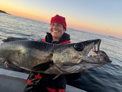 IMG-20250827-WA0056.jpg IMG-20250827-WA0056.jpg