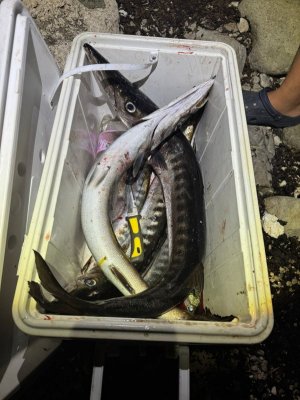 130bae80-f9bf-4176-ac89-1adc3f98a659.jpeg 130bae80-f9bf-4176-ac89-1adc3f98a659.jpeg