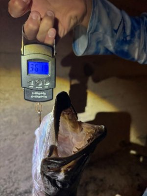 1a59d31e-c9cb-42a6-873d-ff0e4f950e91.jpeg 1a59d31e-c9cb-42a6-873d-ff0e4f950e91.jpeg