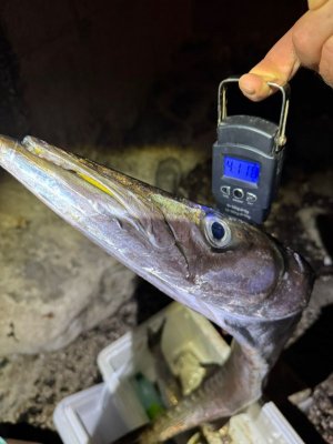 f2020dc3-6b44-4c55-a4c5-1bd5db6abcf9.jpeg f2020dc3-6b44-4c55-a4c5-1bd5db6abcf9.jpeg